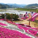 산청에 부는 봄바람 ‘생초국제조각공원 꽃잔디축제’ 이미지