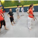 용인대승리태권도 네이버블로그