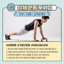 홈트레이닝 이미지