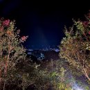 양옥집소정원 이미지