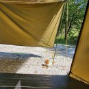 양지생태마을캠핑장 | [강아지와 캠핑] 경남거창 애견동반이 가능한 산속 캠핑 '양지생태마을캠핑장'