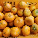 기원농장 이미지