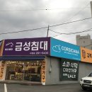 금성수지 이미지