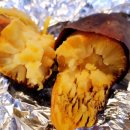 나오스빌라 이미지