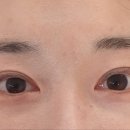 오늘도 눈부시다