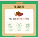 신상농장 이미지