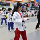 경희대인성태권도 | 경력 많은 사범님이 체계적으로 태권도를 알려주는곳 &#34;동탄경희대태권도&#34;