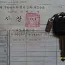 오렌지오토 이미지
