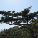 대산초등 이미지