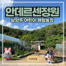 잔디 농장 | 남양주 체험농장 안데르센정원┃동물먹이주기, 잔디썰매, 모래놀이, 미꾸라지잡기 어린이체험