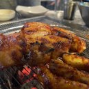 빨간꼼장어 이미지