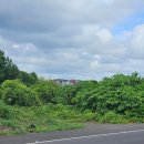 표선동서로 이미지