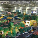 안동청과 이미지