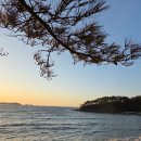 마리의부엌스테이 | [태안숙소]스테이인터뷰태안 자쿠지 풀빌라펜션 감성숙소 추천