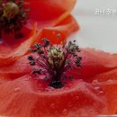 꿈터장애인주간보호센터 네이버블로그