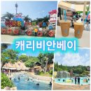 캐리비안베이★예매/오픈런/준비물/주차꿀팁/블루보틀/푸드코트 산리오 솔직후기!
