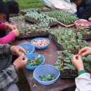 한누리 워낭 마을 하눌리 작은 축제 1- 민들레 요리와 삼굿 구이 이미지