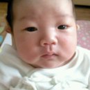 준우 Daum카페