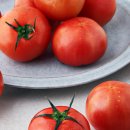 토마토헤어 이미지