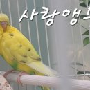 부천자연생태박물관 티스토리