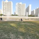 도로시벨