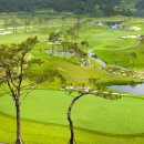 대산면920 이미지