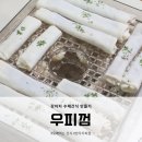 서진기업 강아지간식소 | 간편하고 오래 먹는 강아지 수제간식 " 우피 껌 " 만들어봤어요.
