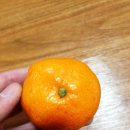 한아름정보