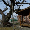 달천경로당 이미지