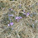 승준농장 이미지