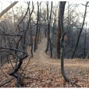 월산1리 이미지