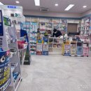 오스템임플란트(주) | 임플란트 뼈이식 후기 (오스템 임플란트 보증서 포함)