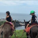 🐴 제주 우도 당일치기 투어 – 오토바이, 스피드보트, 당나귀까지 아이들과 제대로 즐긴 리얼 후기