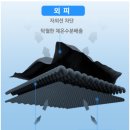 엔아이스포츠 네이버블로그