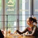 시니어영어(기초) 이미지