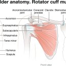 경희으뜸한의원 이미지