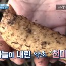 (주)천마푸드 이미지