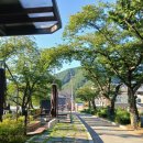 수안보로 | 충주 수안보 여행 덕주피크닉존 송계계곡 수안보온천 수안보족욕 카페 게으른악어