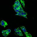 (주)에스티원 이미지
