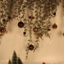 위드 더 독 이미지