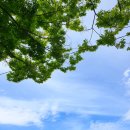 상남동144 이미지