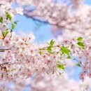 물태리 다목적회관 이미지