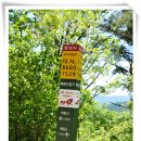 잣향기푸른숲 축령백림관 이미지