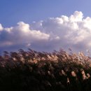 이야기가 있는 풍경 이미지