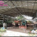 문경축사 이미지