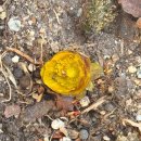 빛의 정원 - 20 이미지