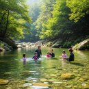 안의면사무소 | 대한민국 계곡 물놀이 명소 10선_용추계곡(경남 산청)