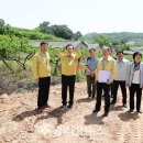 대신지구진입로 이미지