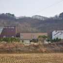 샾무인텔 네이버블로그