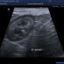 원진동물병원 이미지